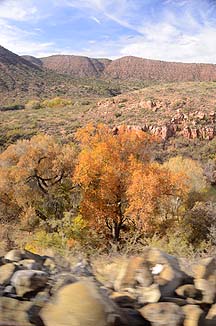 Verde Canyon Railroad, November 29, 2012